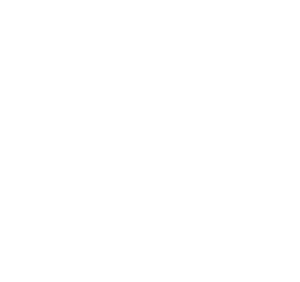 De Nora - Logo